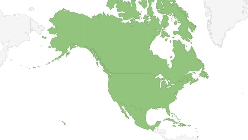 North America and the Caribbean