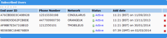 Screenshot of the list of end users visible from a subscription's property page
