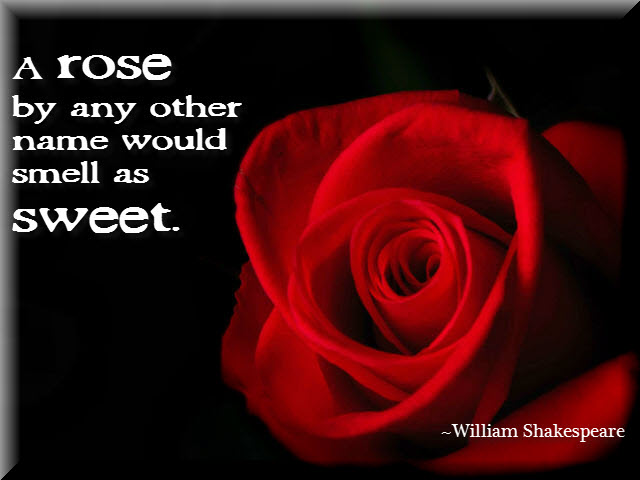 download the language poets download